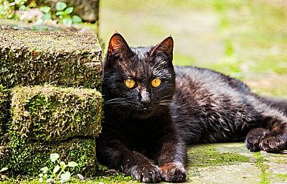 最新市场调研报告 美国年轻玩家游戏支出较去年同期减少25%